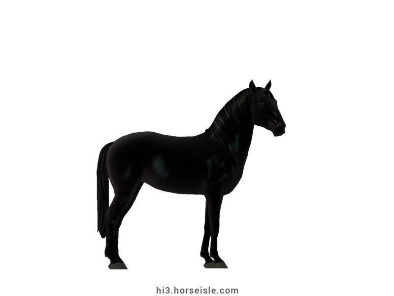 Zante Horse Sooty Ebony Black Coat
